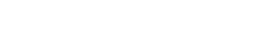 フェリー波之上で行く屋久島の旅